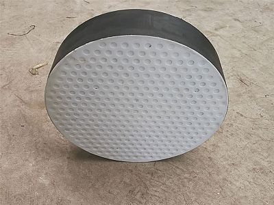惠东县四氟板式橡胶支座易于更换缓冲隔震